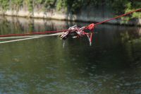 IMG_1182.jpg